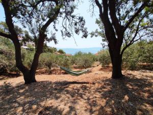 Apartment Robinzon Lantana