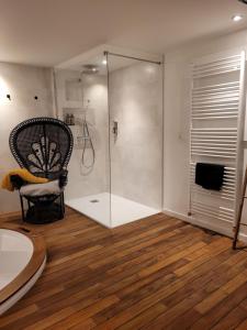 Appartements Jacuzzi des Tanneurs : photos des chambres