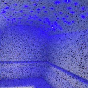 HOTEL ROYAL MOUNTAIN