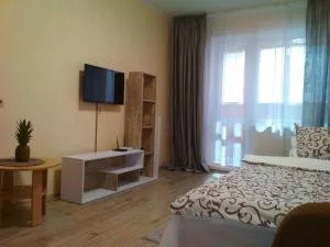 Уютная квартира метро Харьковская 3 мин, Паспорт-Сервис, Аэропорт Борисполь - Bortnichi