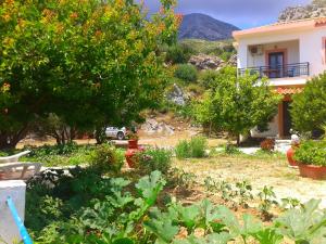 Daphne Studios Samos Greece