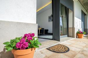 Garden Apartment Dona Amélia