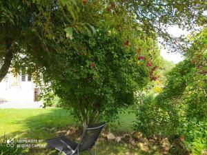 Maisons de vacances Gite Saint-Bauld, 4 pieces, 6 personnes - FR-1-381-505 : photos des chambres