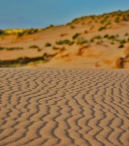 Hotel Trinità dei Corsari img50