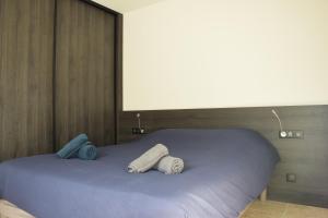 Maisons de vacances La Salamandre : photos des chambres