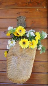 Casa Margarida, Quinta Carmo - Alcobaça - Nazaré