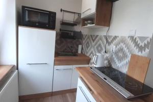 Lemuria Apartament Szkolna centrum