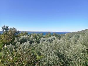 Holiday Home Milovci 