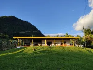 Finca La Antigua. finca tradicional Cafetera - Morro Amarillo