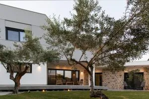 Villa Hara - Psifiá