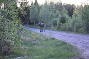 Flahult Holiday Home