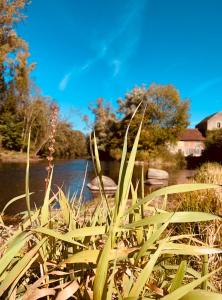 Maisons de vacances Pool house-L'hirondelle de Sermizelles- grand jardin, calme et nature aux portes du Morvan : photos des chambres