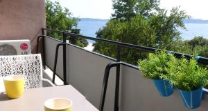 Apartment with Sea View room in Apartment Jelena