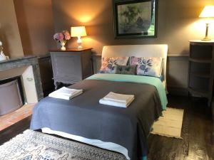 B&B / Chambres d'hotes Chateau VIGUE : photos des chambres