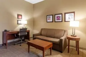 Comfort Inn & Suites Peachtree Corners - Norcross