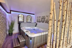 Maisons d'hotes Spa et romance a Molliebon : photos des chambres