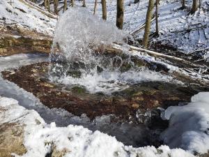 Nyitott Kapu Vendégház