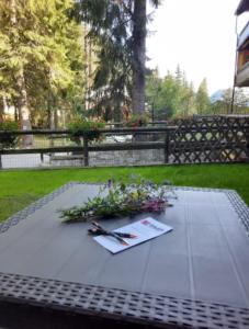 BMP APARTMENT SPINALE Campiglio centro, GARAGE