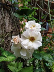 Pousada Recanto dos Anjos