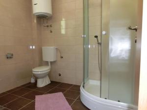 Apartment with Terrace room in Villa Slovenika Apartments