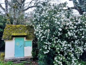 Maisons de vacances Fleur de Tilleul : photos des chambres