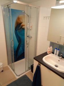 CITY PREMIUM Studio Suite