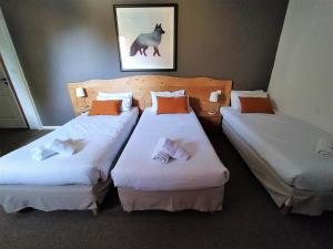 Hotels Hotel Aalborg : photos des chambres