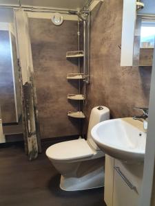 Kultsjögården-Saxnäs-Marsfjällen 9