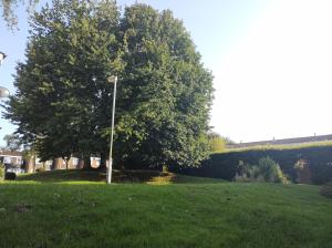Homestay near a station and park