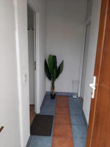 Apartman MIX2 Zagreb - Maksimir KBC Rebro