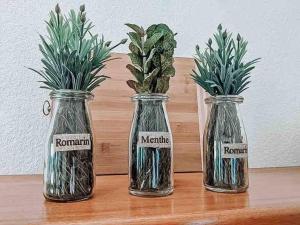 Vacation Home Blue Lotus- Gold Standard Certified