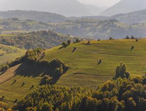Green Hill Panoramic