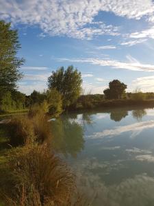 Lodges Shanti Lac Cabanes gites insolites et espace bien-etre Bordeaux : photos des chambres