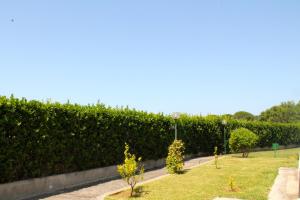 Triple Room room in Masseria Fabrizio