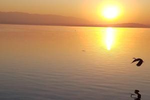 Pecanwood Home Away from Home