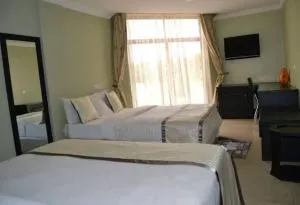 Panone Hotel-Chekereni - 莫希