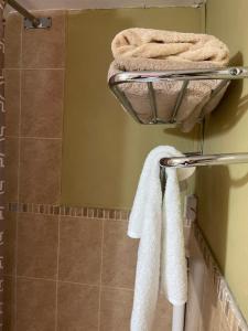 Cityscape at Chelsea Manor New Kingston Studio!