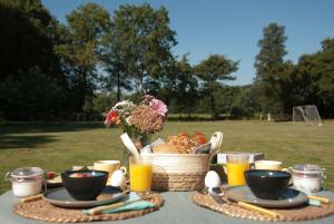 B&B Hof ter Lemferdinge