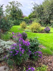 Dingle Garden Townhouse