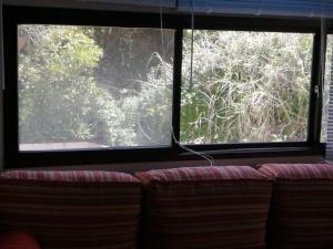 Mar y Bosque - Apartamento 1er piso - 2 adultos y 2 o 3 niños - Zona Norte