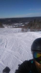 Metsorinne 3A sarvipöllö