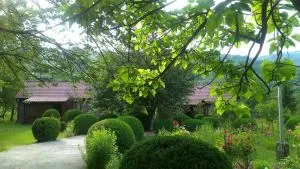 Kvasnyi - Velyikyy Bychkiv