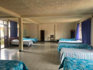 Kasa Kiwi Hostel & Travel Agency