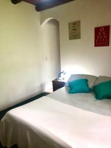 Casa Bromélia Green