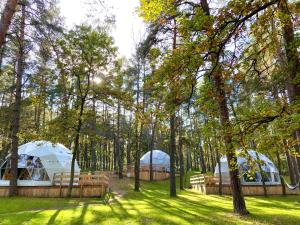 Planeta Glamping