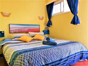 Cozy one bedroom apartment with spacious terrace Pool and garden view