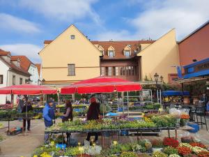 Dolac Guesthouse