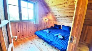 Wild Hog Guesthouse