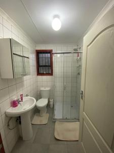 Man and Dog Log Cabin