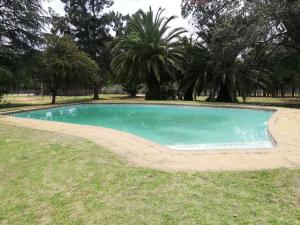 Man and Dog Log Cabin